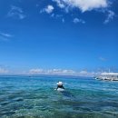 율스짐 | 2편 - 보자무싸 발리카삭 투어🐬🐢🐠🐟조조랑 막막😎헤난 프리미어 리조트🏬 라모이🦐🦀기념품샵 몽키트리🐵 율스몰❣️