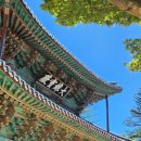 공주문화관광지 | [25.07.27.] 공주 마곡사 방문 후기 : 계곡이 있는 예쁜 사찰