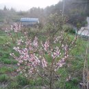 천등농장 이미지