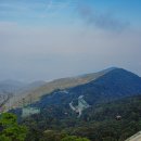 자유카 | 다낭 바나힐 투어 픽업부터 입장권 케이블카까지 자유여행 코스 후기