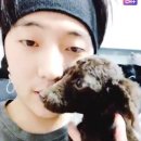 안녕토르