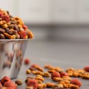 연두동물병원 이미지