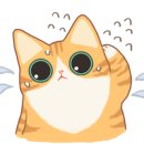 달보드레/루체레 이미지