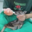 제주 현 동물병원 이미지