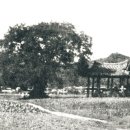 흰그루식품 | 1796년 후계(後溪) 이이순(李頤淳) 선생이 예안면 부포리(浮浦里)의 부라원루(浮羅院樓)에 올라 읊은...