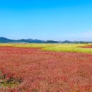 한잔할래 이미지