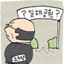 아호라
