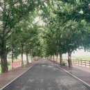 석정2리마을회관 | 아산 가볼만한 곳 현충사 곡교천 은행나무길 아산 드라이브 여행