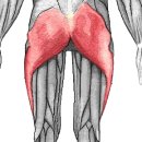 다이나믹짐 이미지