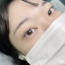 테오트리안양
