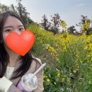 열안지 하우스 | 제주도, 나홀로 떠난 여행 3편 (한라산 등반 인증서 발급 ~ 적당한게스트하우스)