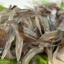 추억횟집 이미지