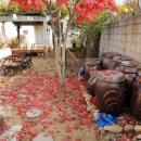 아라뜰2호점 이미지