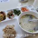 [임신32-33W일상] 휴직을 시작한 후기 임산부