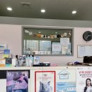 디딤동물병원