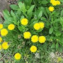 송담9길 이미지