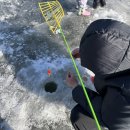 무장글샘작은도서관 | 아이와 강화도 빙어낚시 후기(2026년, 강화 양오 빙어낚시, 요금, 얼음썰매, 준비물 팁)