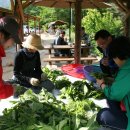 연가리맑은터 이미지