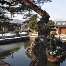 연당1로 Daum카페