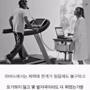 이안(EAN) - 중구 | 이안(EAN)