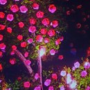 아르떼(Arte) - 순천시 | 아르떼(Arte)
