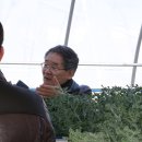 광원유통마트