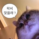 베이커리 그루 이미지