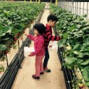 현이농장 이미지