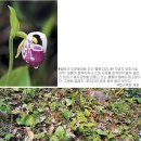 복이자원 환경 이미지