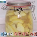 황금호박 티스토리