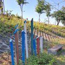 조천 산책로화장실 이미지