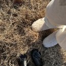 해브솔캠핑 이미지