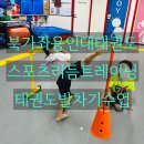 북가좌용인대태권도