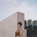 이너뮤즈 MBC연예