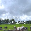 미소농장 | 제주목장체험 제주 목장카페 아침미소목장 후기