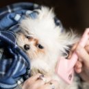 1급 수오자동차공업사 이미지