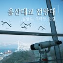 울산대교전망대주차장화장실 | 울산대교 전망대 입장료 무료, 주차장, 전경 및 관람 후기