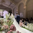 보타닉파크웨딩 | 보타닉파크웨딩 하객후기 (교통, 카라홀, 뷔페 꿀팁)