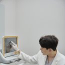 베이드