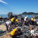 송평해수욕장1 이미지