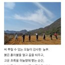 씨뿌리는농부