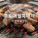 돼지가춤추는애월식당 | 제주애월맛집 육즙가득 고소한 제주산 숙성흑돼지구이 &#34;훈도애월흑돼지&#34;후기