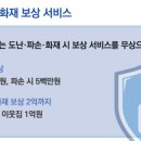 디디하이브