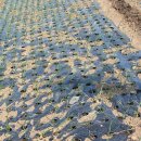 당곡농장 이미지