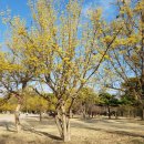 광한루원 서문 이미지