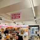 ㈜땡큐제주렌트카 | 고민 끝에 예약한 제주렌트카 주의사항과 팁 내돈내산 후기