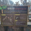 숲속공원놀이터 이미지