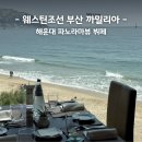동백섬 | 웨스틴조선 부산 뷔페 까밀리아 주말 런치 후기 발렛주차 동백섬 산책까지 완벽!
