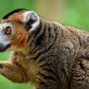 리듬 N 점프 이미지