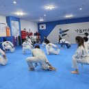 오늘은 태권도 | 헬스장 지옥 탈출! 스트레스 없이 체지방 태우는 리얼 태권도 다이어트 후기!